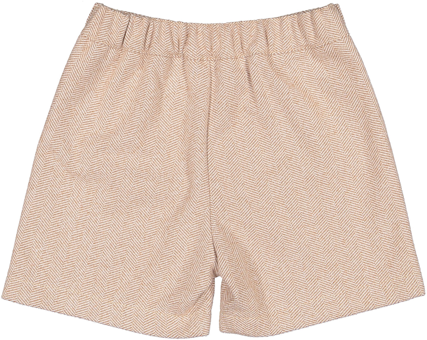 Dachshunds Shorts