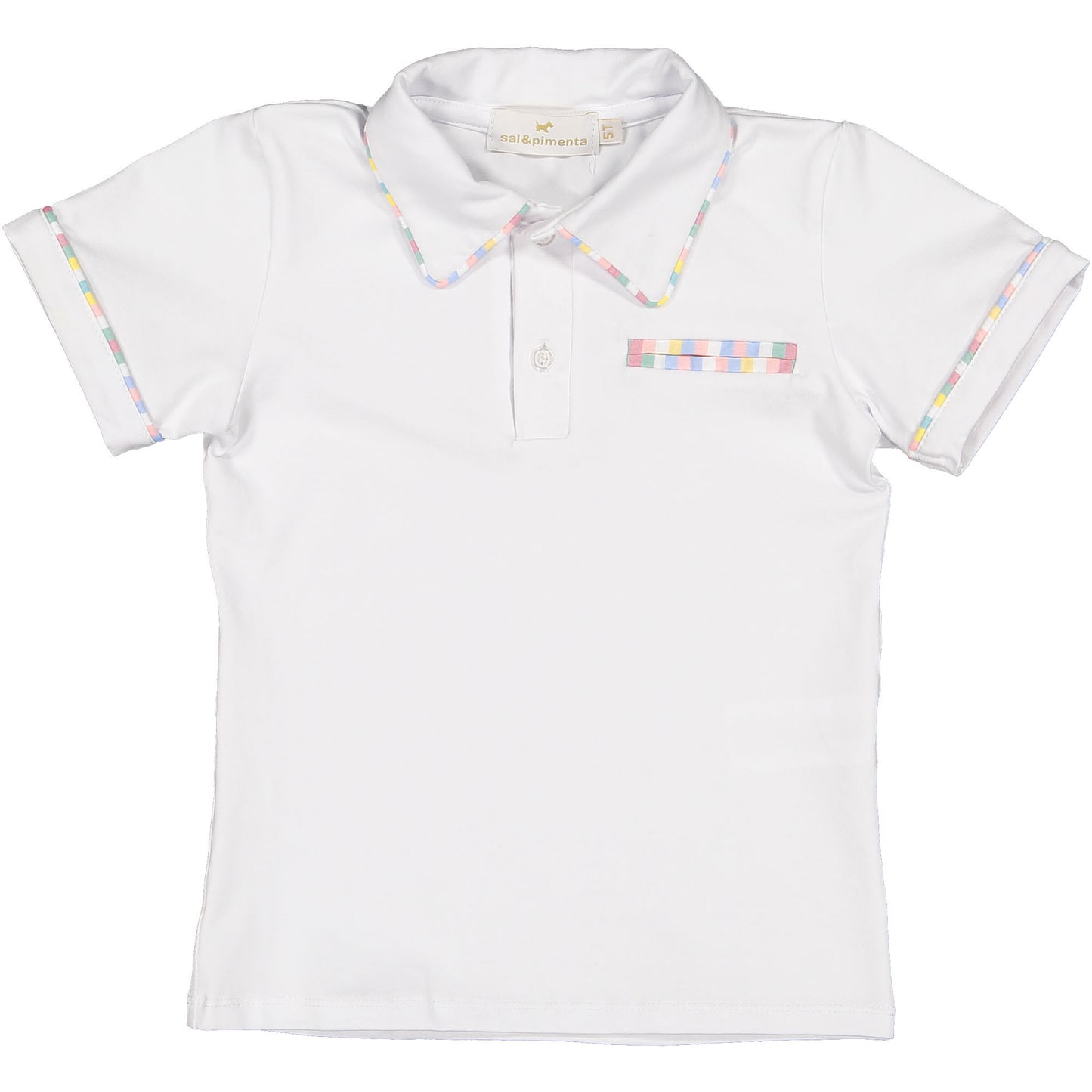 Rainbow Gingham Boy Polo