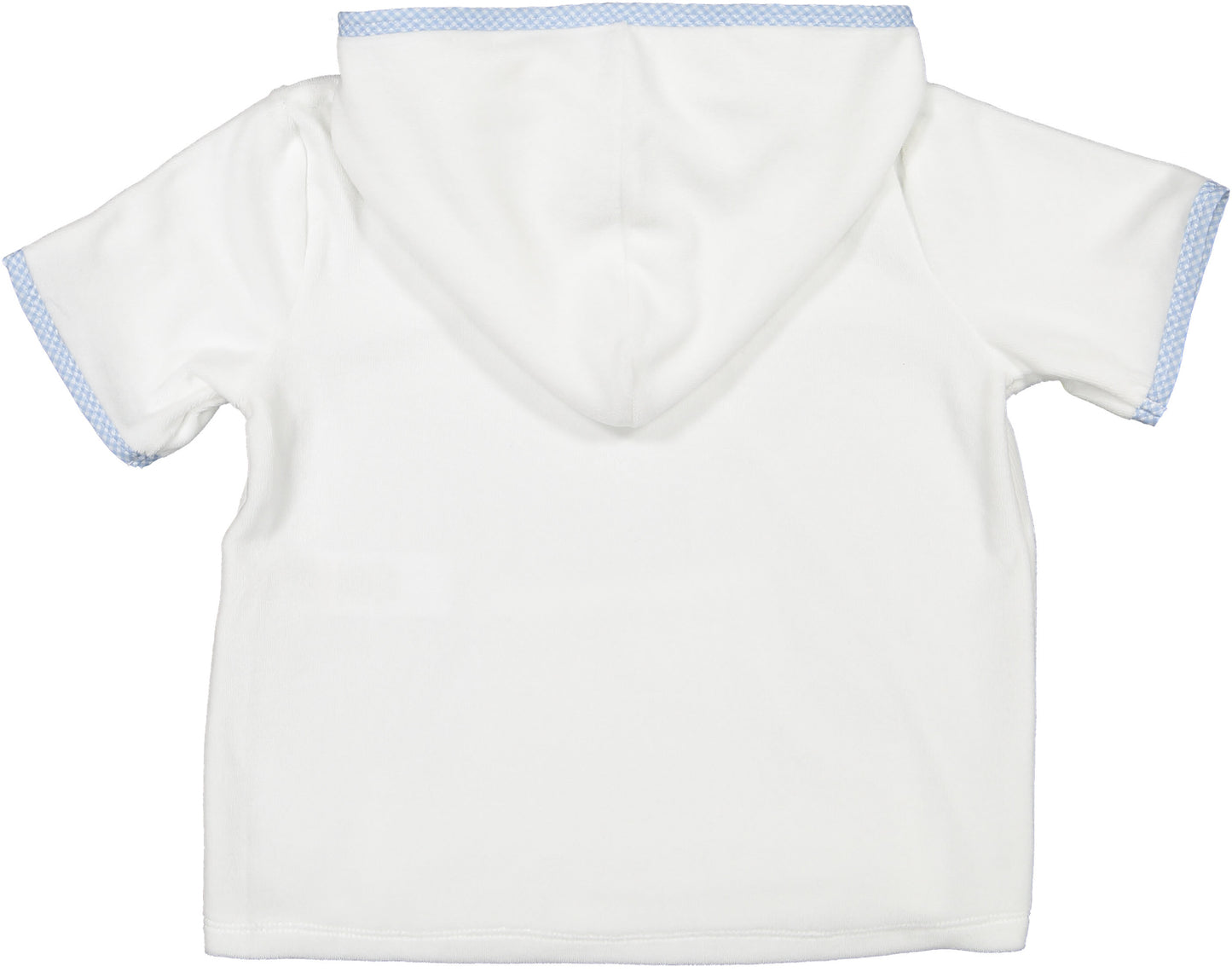 SAMPLE Mini Blue Gingham Boy Cover-Up