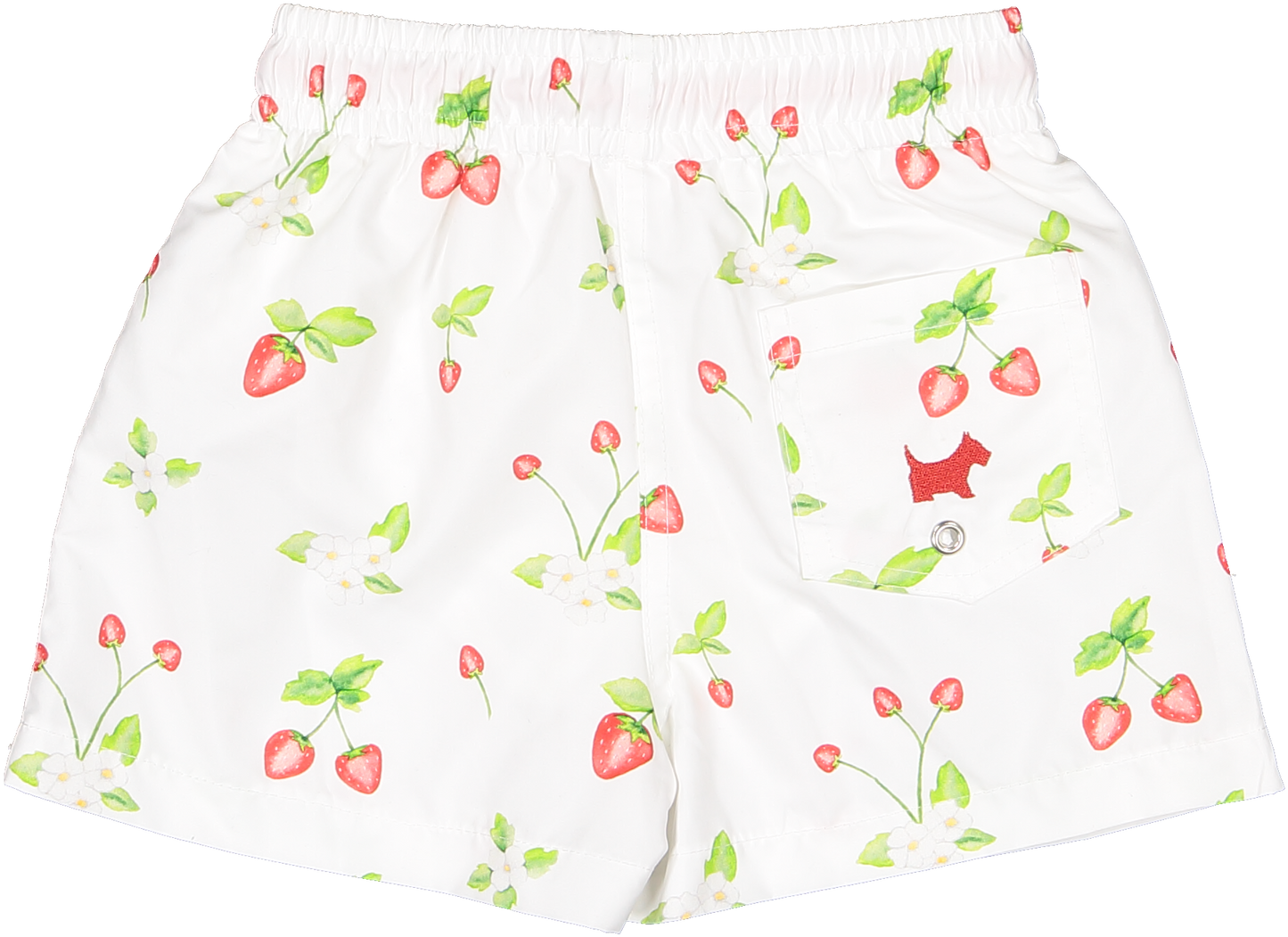 Berries Trunks