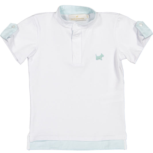 Aqua Green Boy Polo