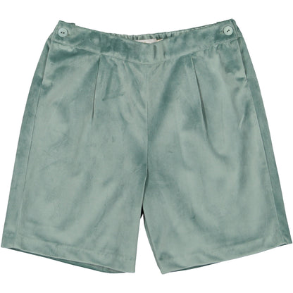 Forest Velvet Shorts