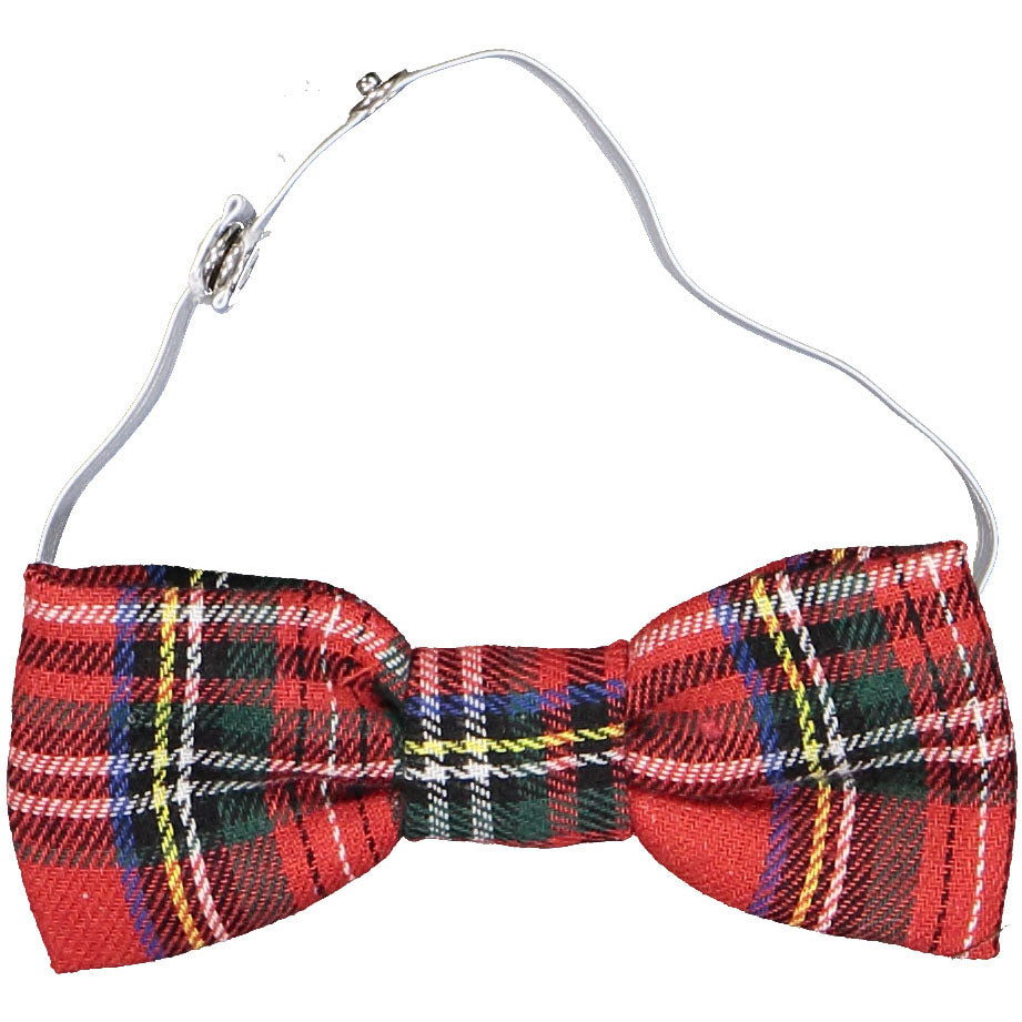Scottish Tartan Papillon