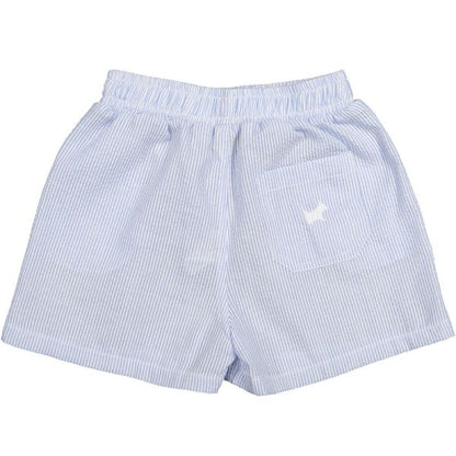 Blue Seersucker Boy Pull-ups