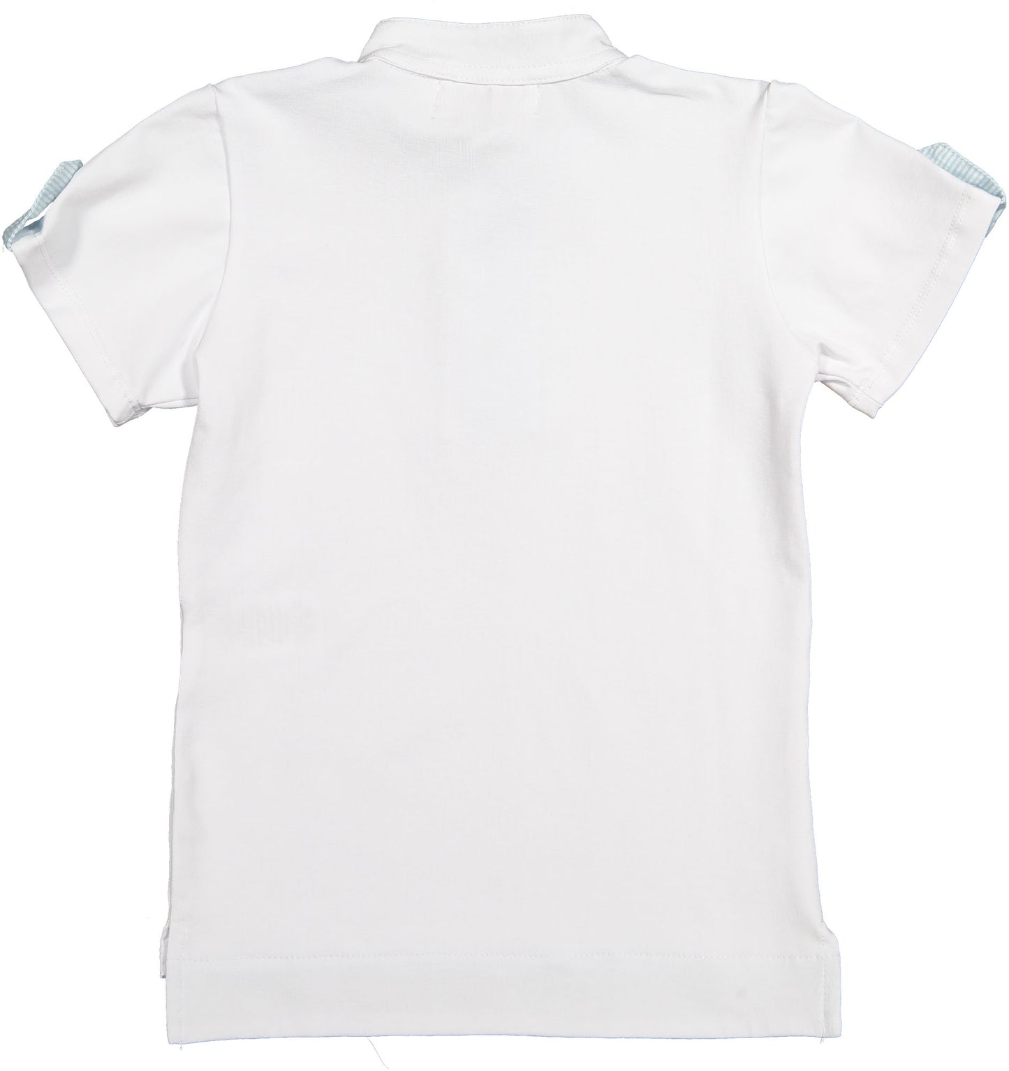 Mint Stripes Boy Polo