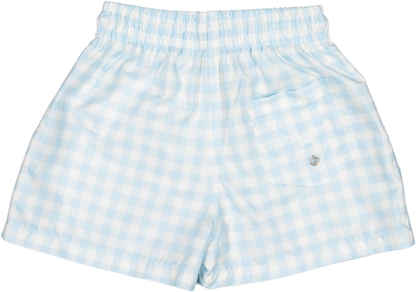 Blue Gingham Trunks