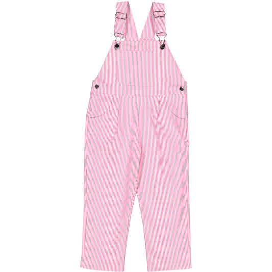 Winter Wonderland Overalls