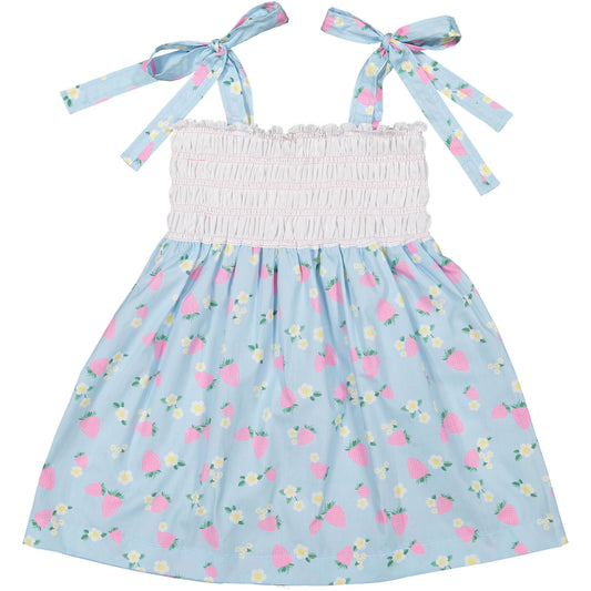 Summer Berries Dress