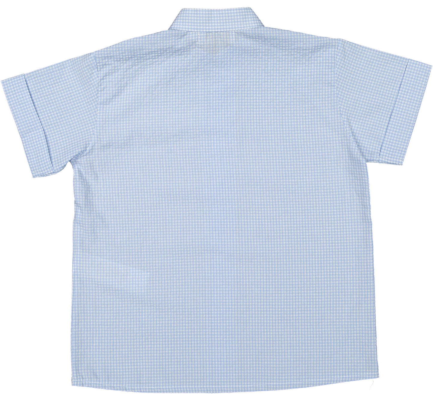 Blue Gingham Shirt