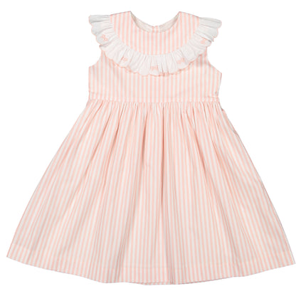 Flamingo Stripes Dress