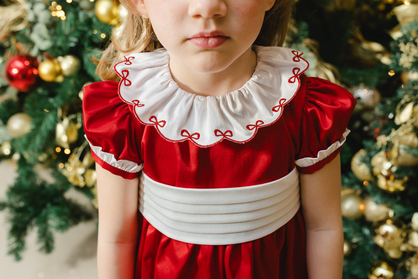 Santa Baby Velvet Dress