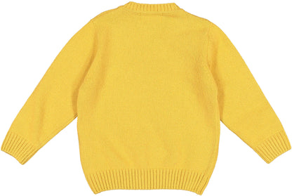 Mustard V-neck Knit Pullover