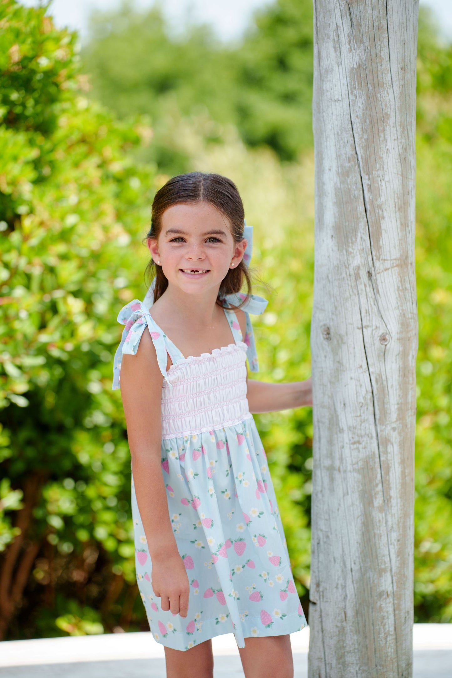 Summer Berries Dress