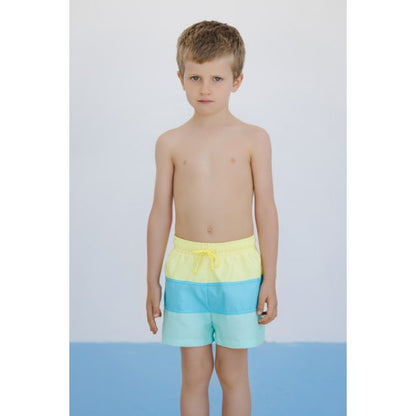 Multicolor Hearts Trunks