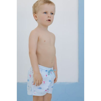 Nautical Trunks